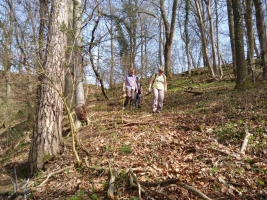 IMG_20160403_151018518