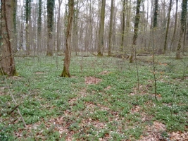 IMG_20160403_185333898