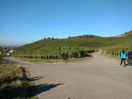 IMG_20161016_110412072